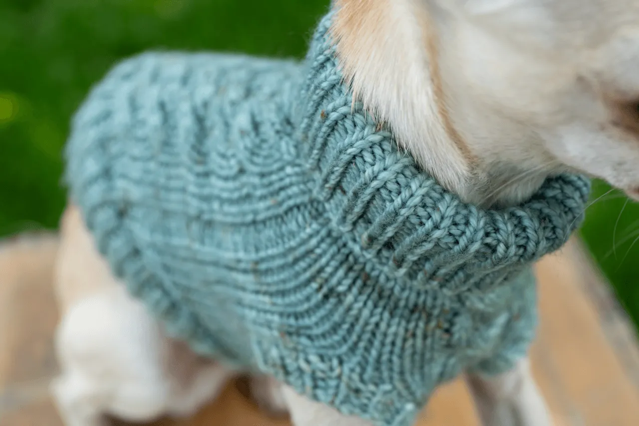 Engel Pullover | Dog Pattern