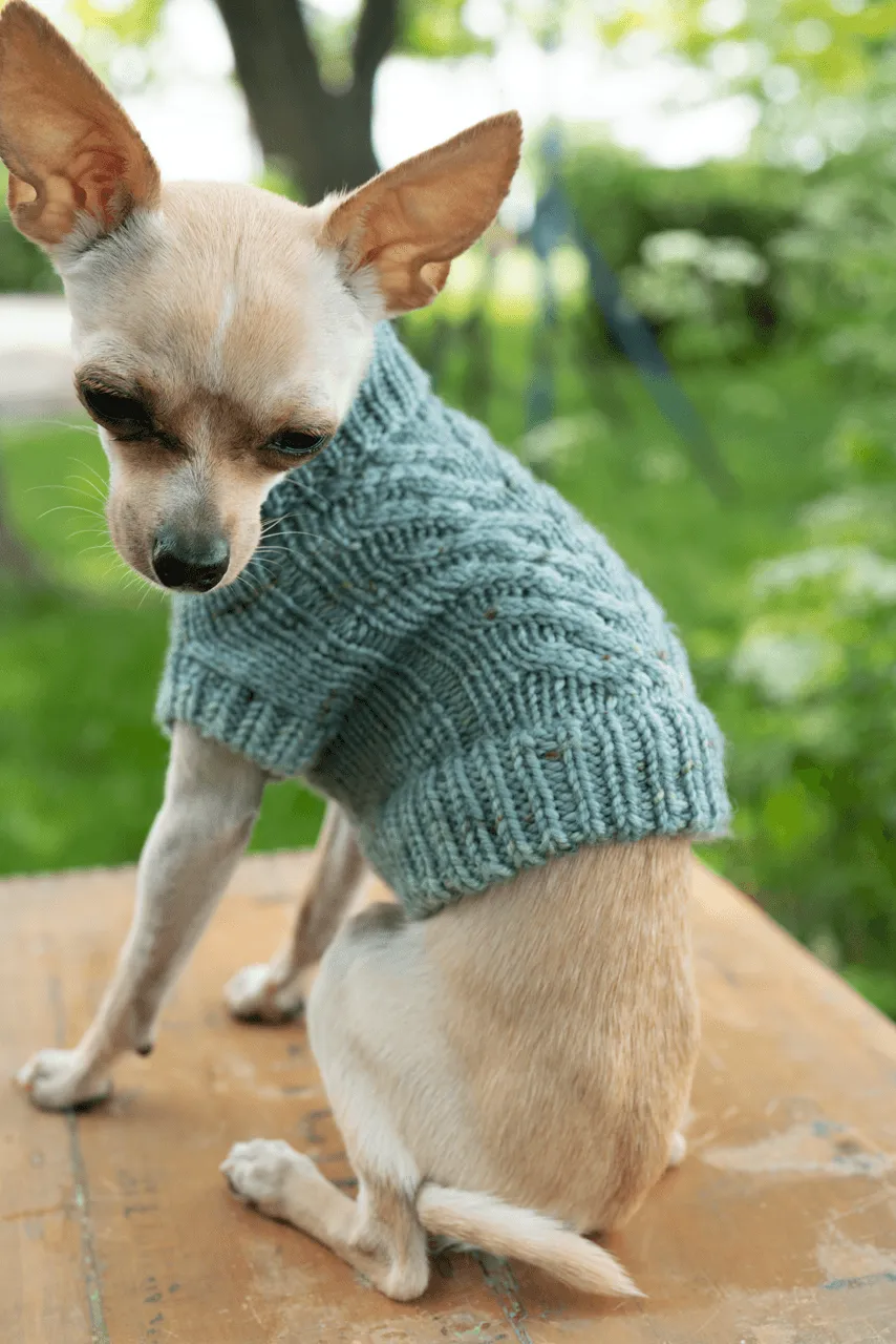 Engel Pullover | Dog Pattern