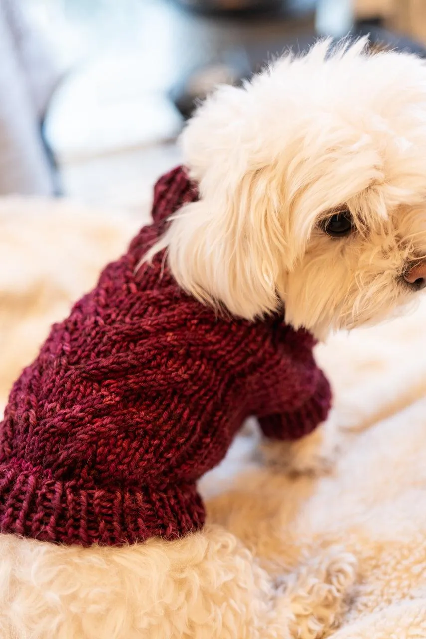 Engel Pullover | Dog Pattern