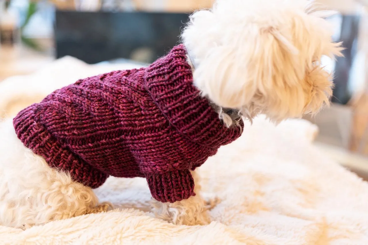 Engel Pullover | Dog Pattern