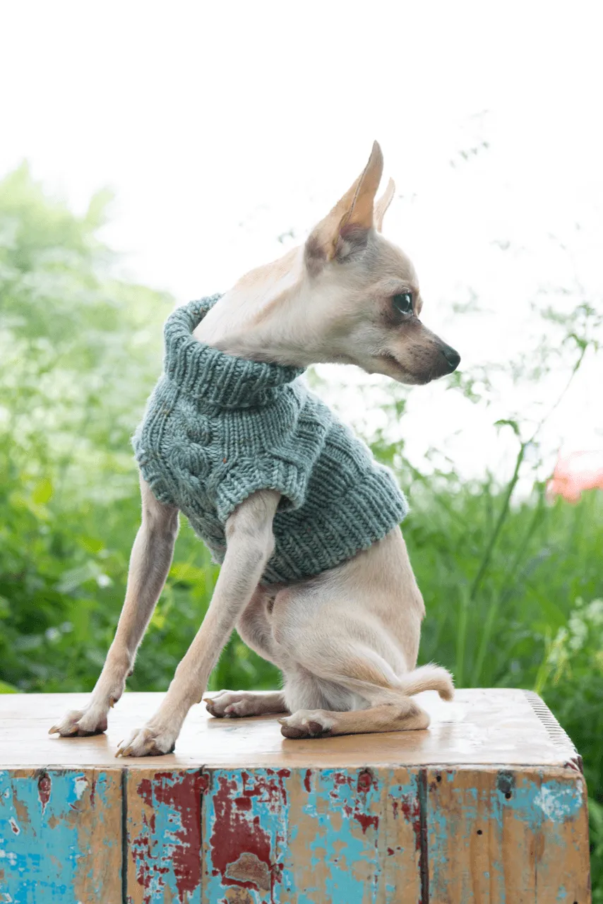 Engel Pullover | Dog Pattern