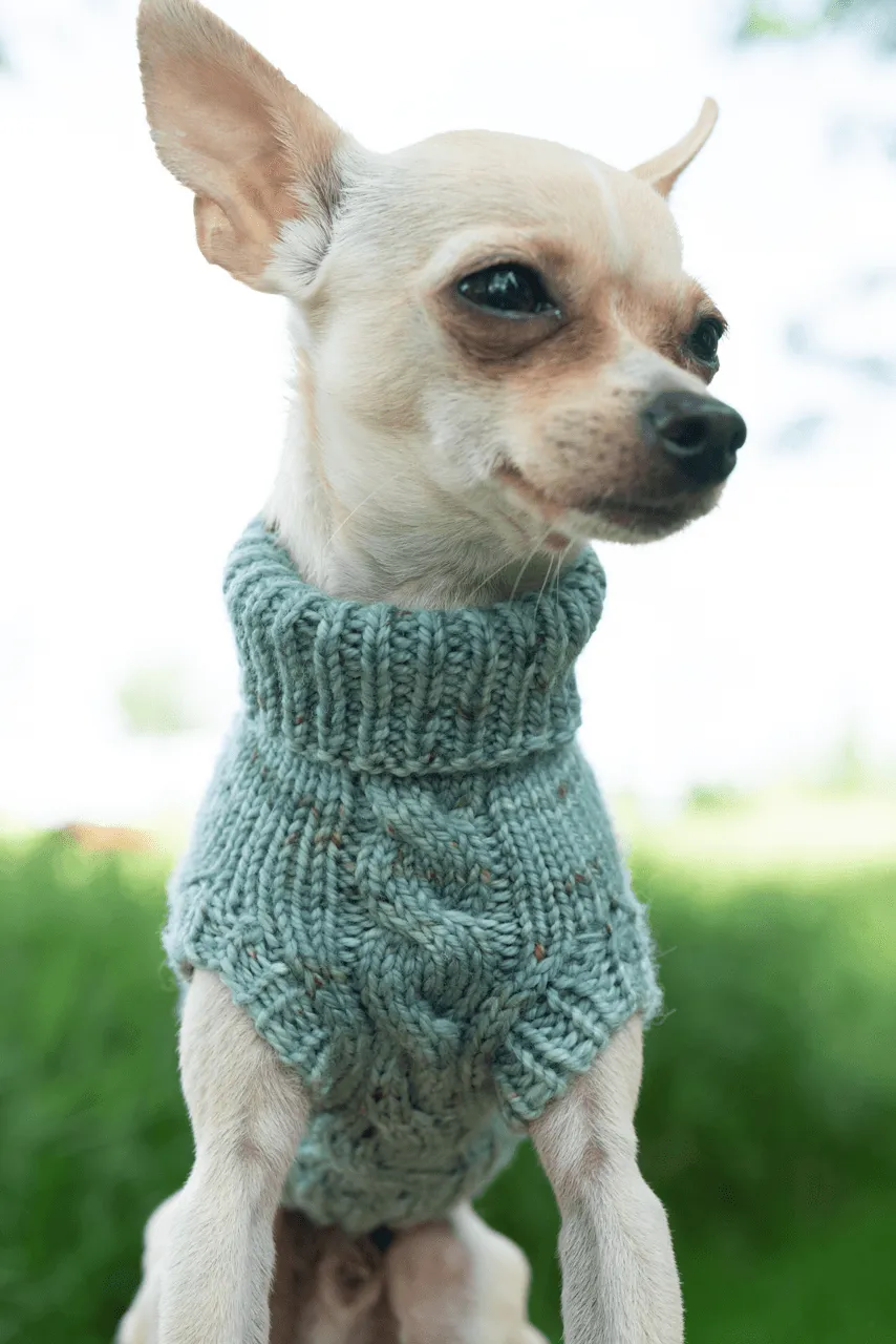 Engel Pullover | Dog Pattern