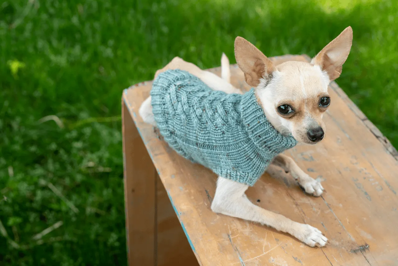 Engel Pullover | Dog Pattern