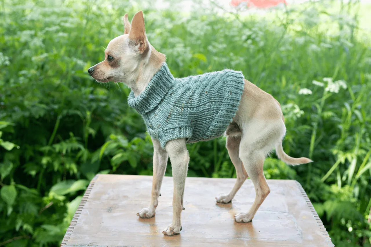 Engel Pullover | Dog Pattern