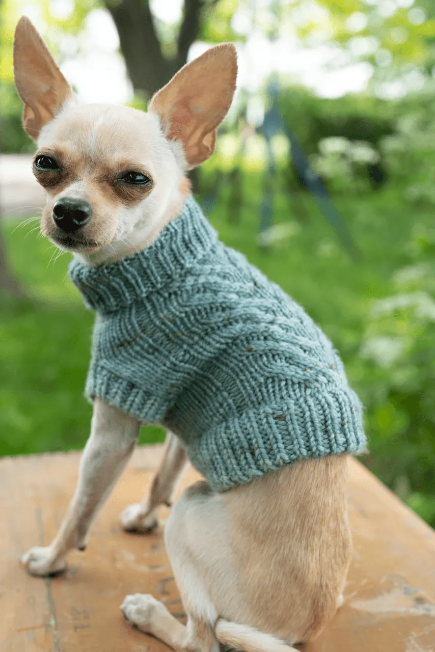 Engel Pullover | Dog Pattern