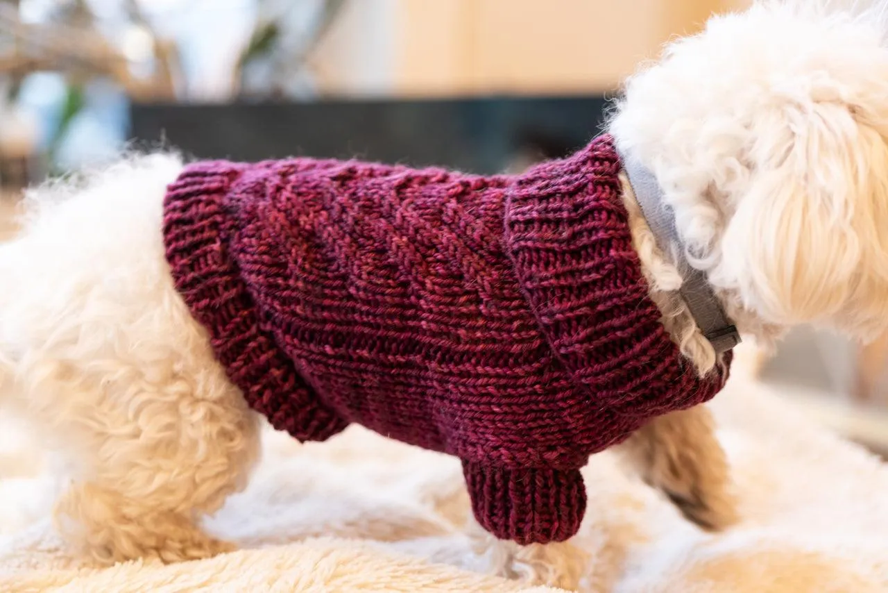 Engel Pullover | Dog Pattern