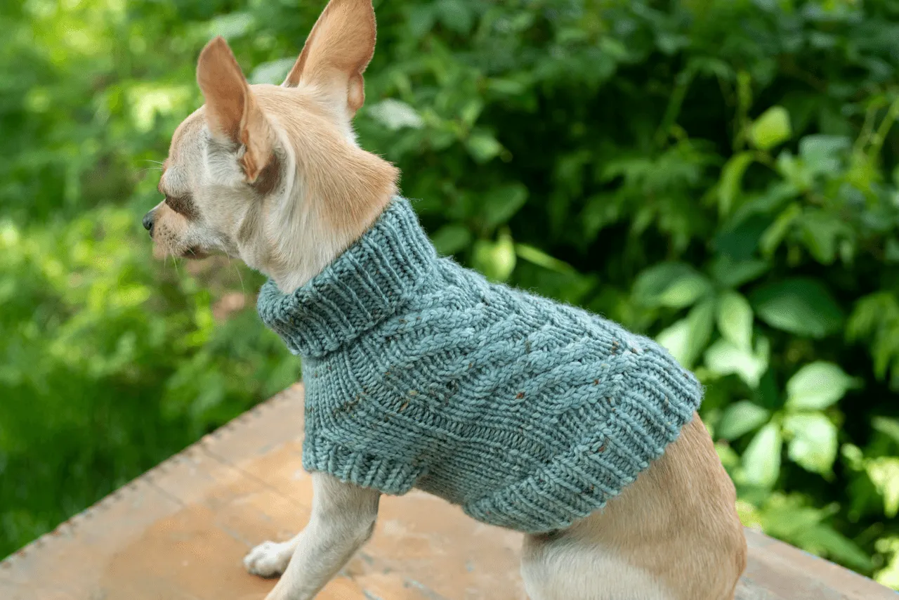 Engel Pullover | Dog Pattern