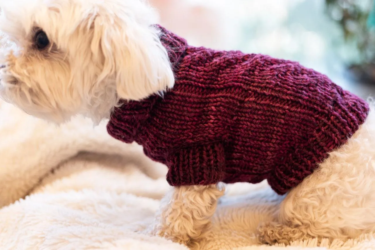 Engel Pullover | Dog Pattern