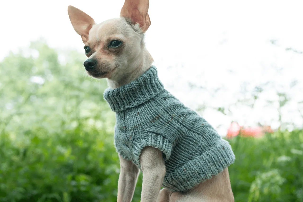 Engel Pullover | Dog Pattern