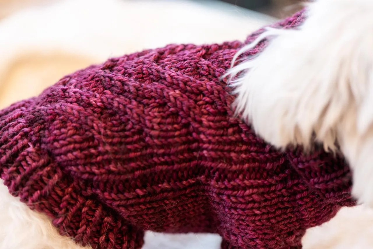 Engel Pullover | Dog Pattern