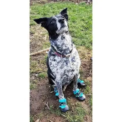 Healers Urban Walker Dog Boots - L/M - Teal