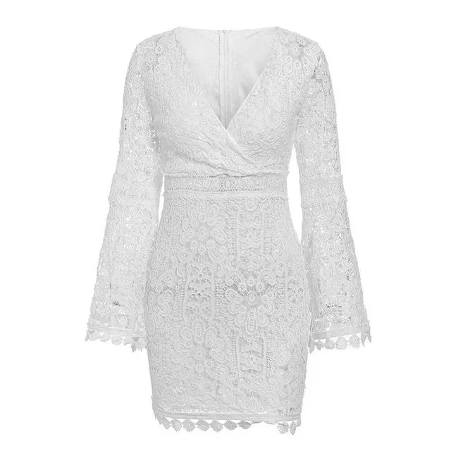 Sexy V-Neck Hollow Out A-Line Spring Summer Elegant Bodycon Lace Dress