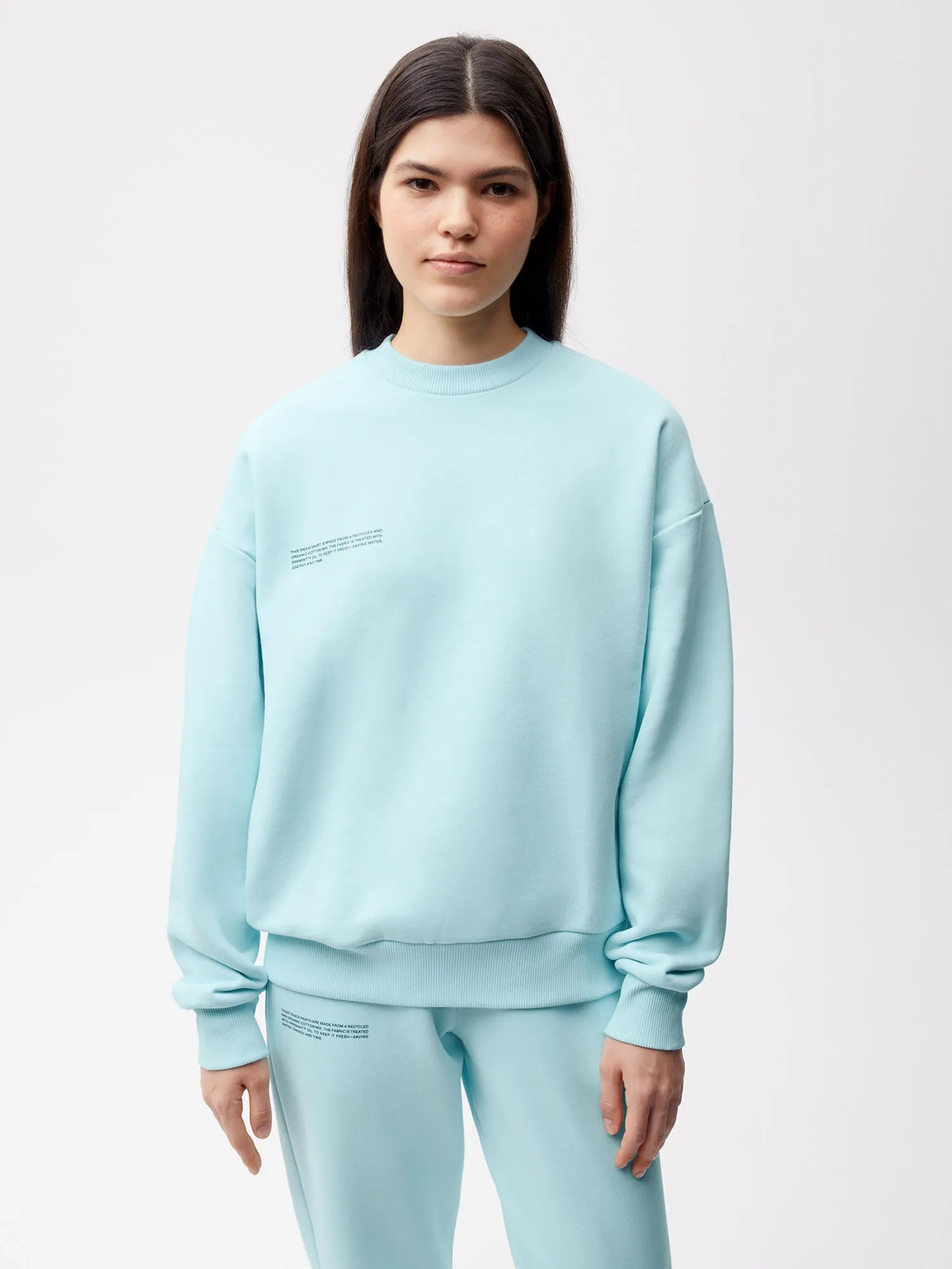 Signature Sweatshirt - Pastel Tones—powder blue