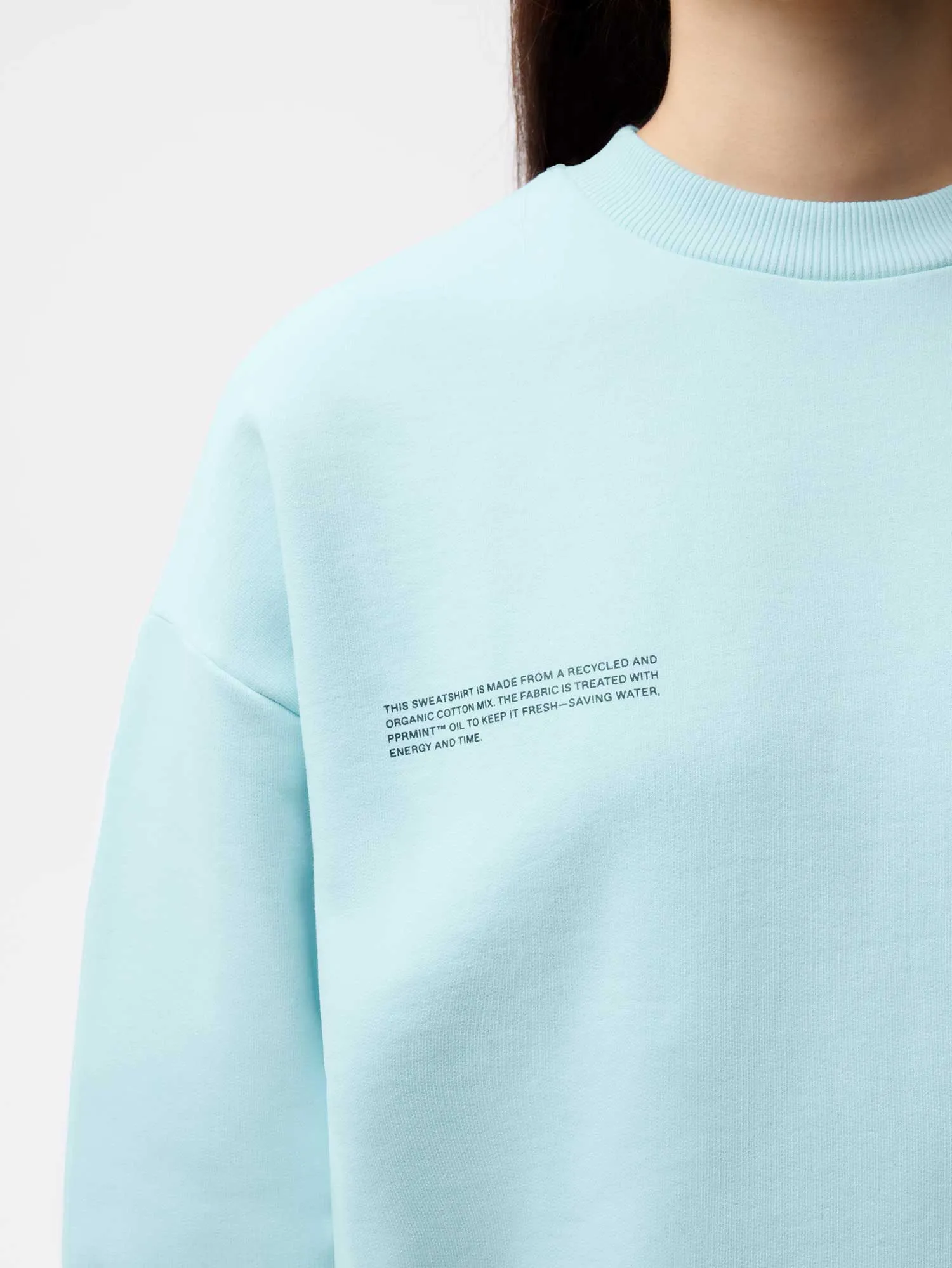 Signature Sweatshirt - Pastel Tones—powder blue