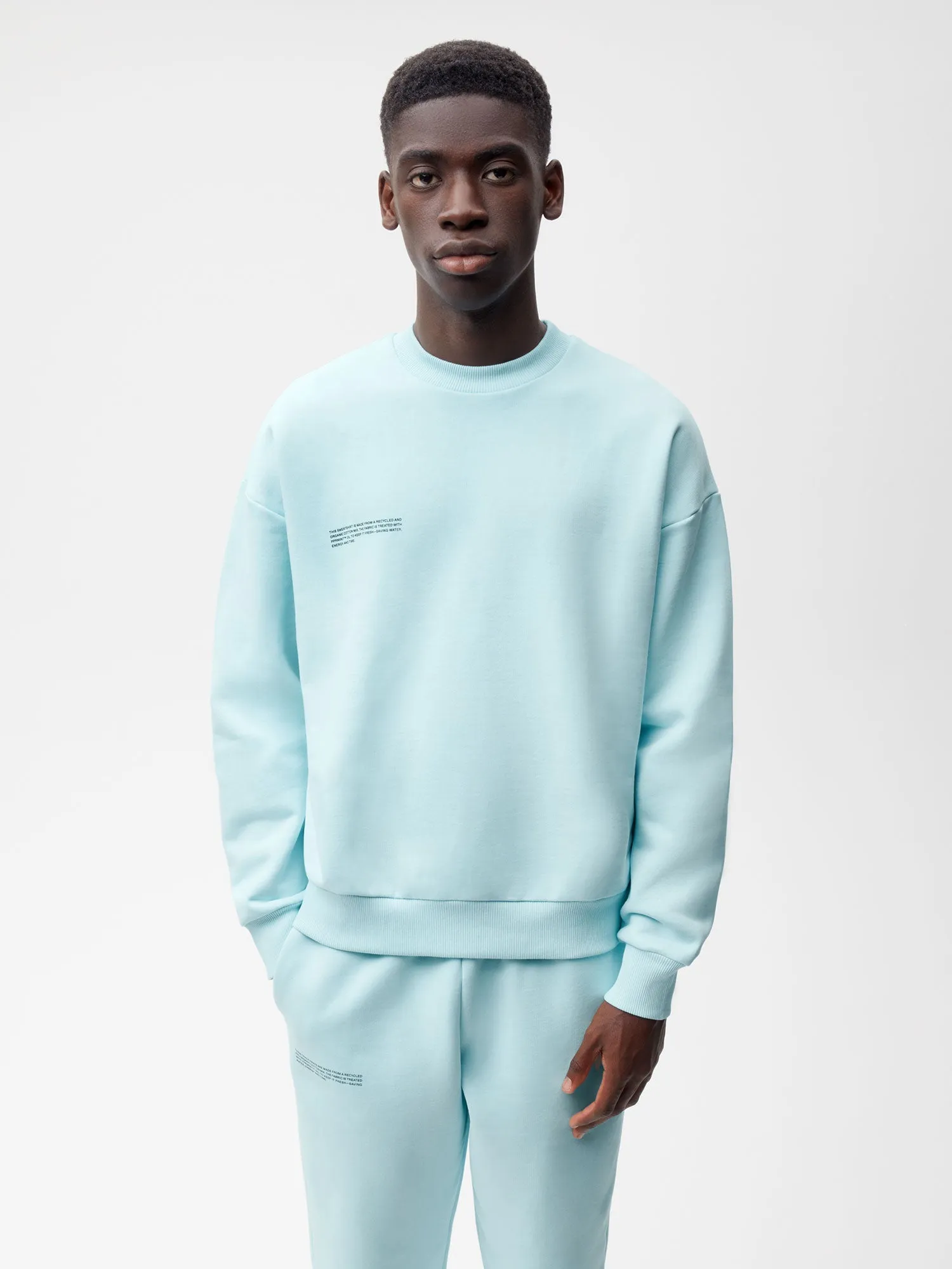 Signature Sweatshirt - Pastel Tones—powder blue