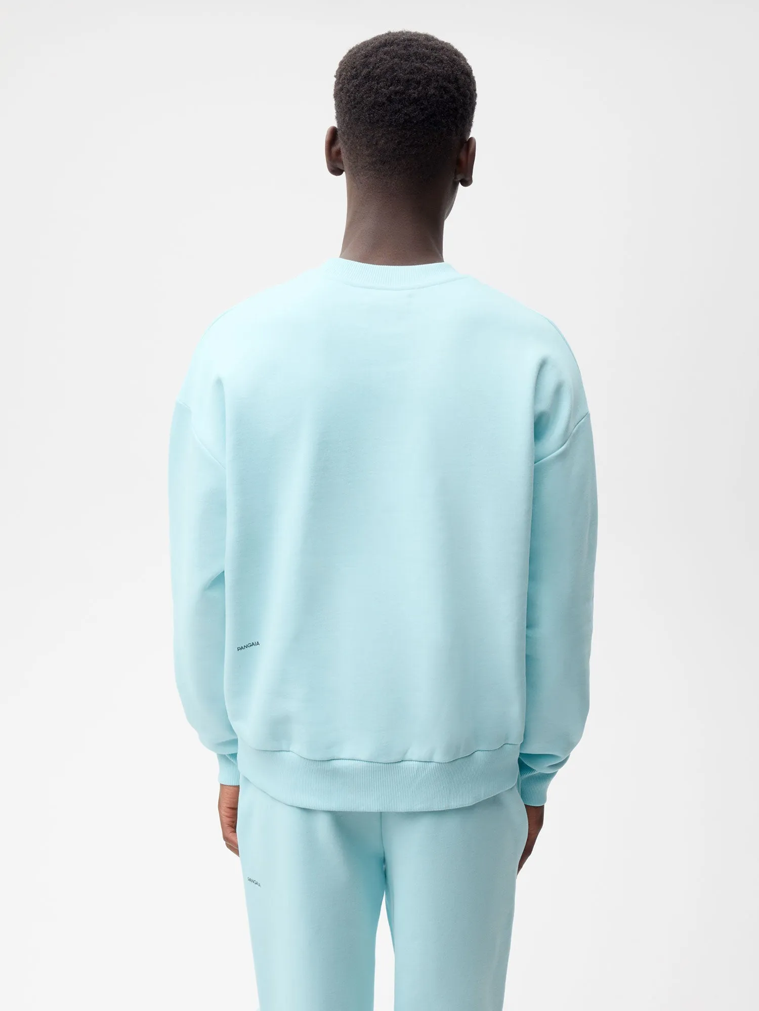 Signature Sweatshirt - Pastel Tones—powder blue