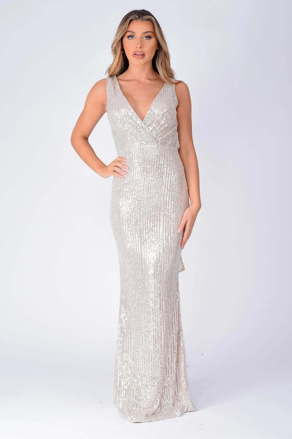 The One Silver Sequin Plunge Backless Maxi Dress